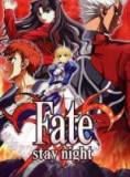 Fate Stay Night/命运停驻之夜