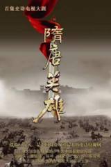 隋唐英雄3DVD版